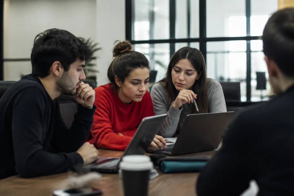 Avrupa Dayanışma Programı ESC51 — Gönüllülük Projeleri — destek programı görseli