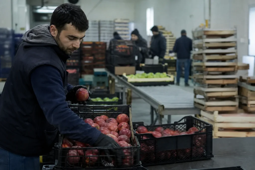 KKYP — Kırsal Kalkınma Yatırım Programı — destek programı görseli