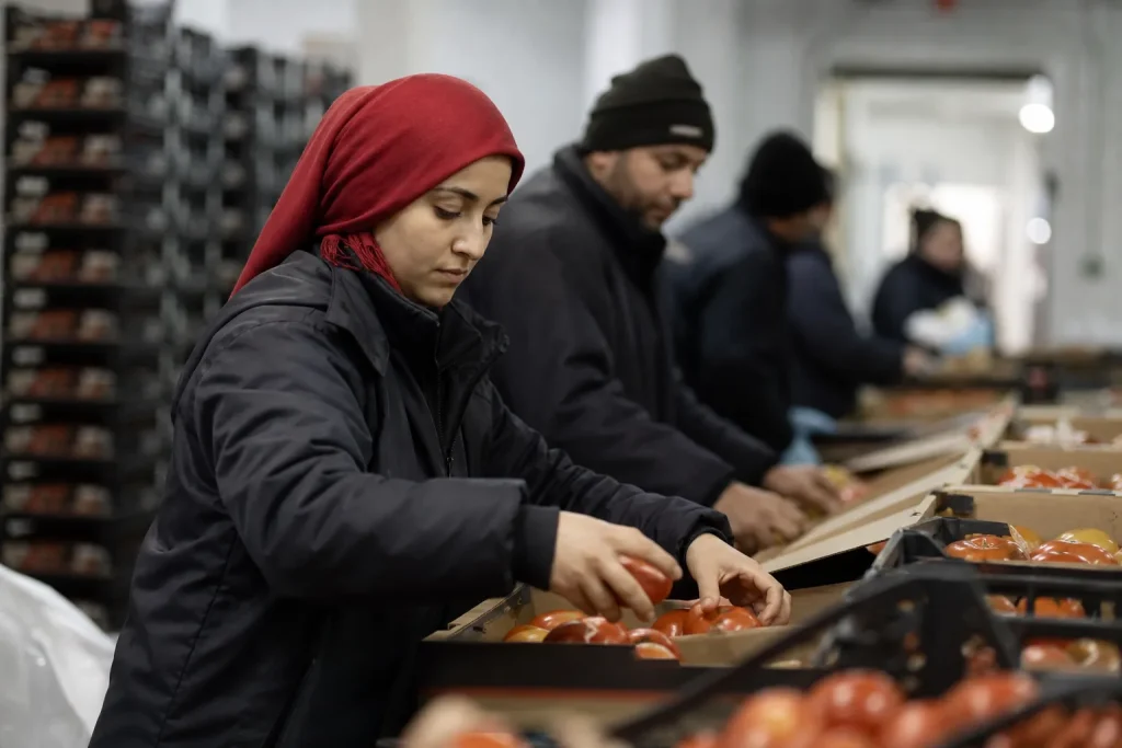MEVKA Kırsal Kalkınma Teknik Destek Programı — destek programı görseli